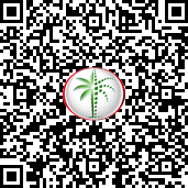 Dubai Land Department permit QR code, permit number 1753342871